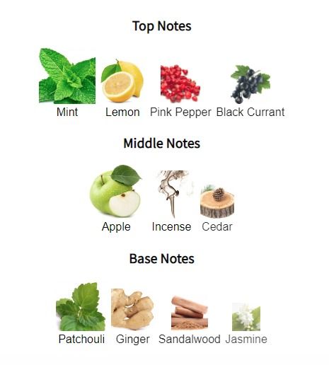 9am Dive by Afnan 3.4FL OZ Unisex. Eau de Parfum