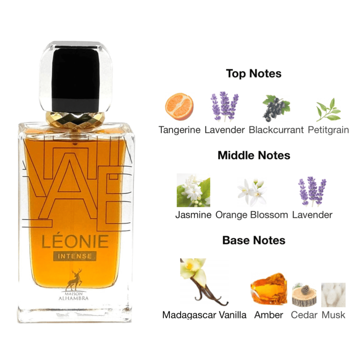 Léonie Intense by Maison Alhambra. Woman's Eau de Parfum 3.4FL OZ